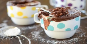 Chocoalte-Peanut-Butter-Mug-Cake-2-sm-705x360